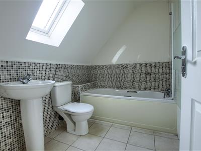 Picture 8